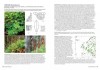 European Bryaceae - a guide to the species of the moss family Bryaceae in Western & Central Europe and Macaronesia