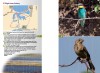 A Guide to Finding Birds in Odessa Region, Ukraine