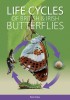 Life cycles of British and Irish Butterflies