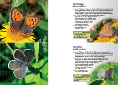 The Moths of Lancashire naturebureau.co.uk