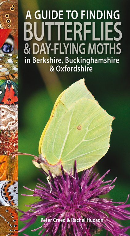 Guide to Finding Butterflies and Day-flying Moths in Berks, Bucks and Oxon