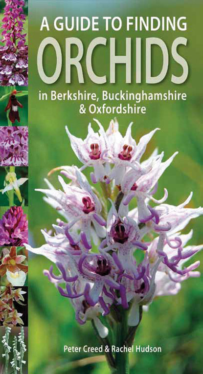 Guide to Finding Orchids in Berks, Bucks and Oxon