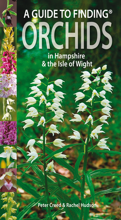 Guide to Finding Orchids in Hampshire and the Isle of Wight