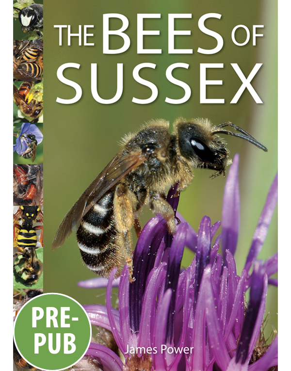 The Bees of Sussex