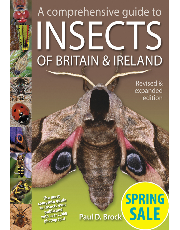 A Comprehensive Guide to Insects of Britain & Ireland new and revised edition