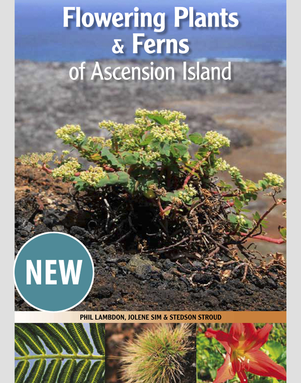 Flowering Plants and Ferns of Ascension Island