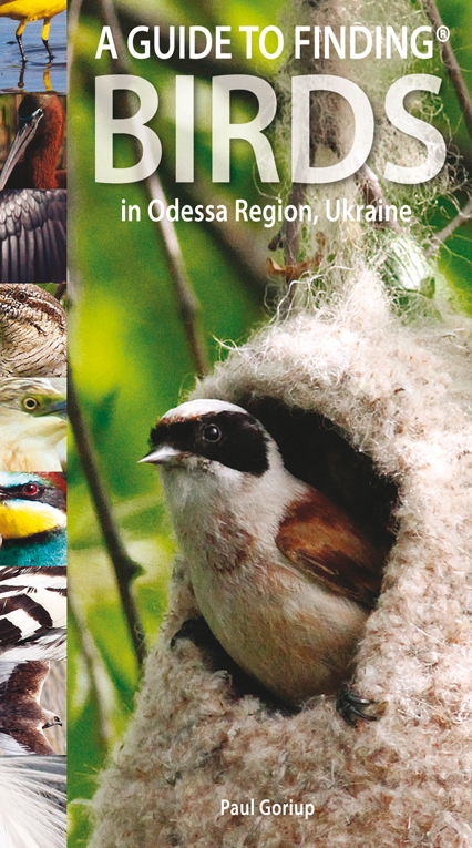 Guide to Finding Birds in Odessa Region, Ukraine