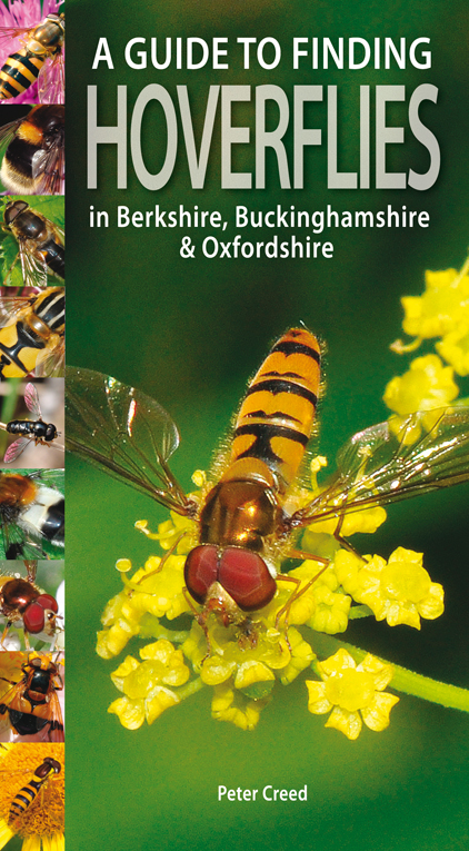 A Guide to Finding Hoverflies in Berks, Bucks and Oxon