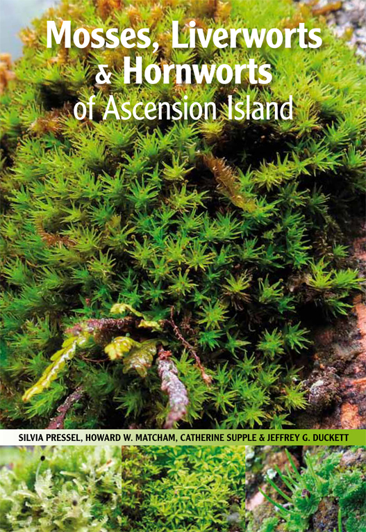 Mosses, Liverworts & Hornworts of  Ascension Island