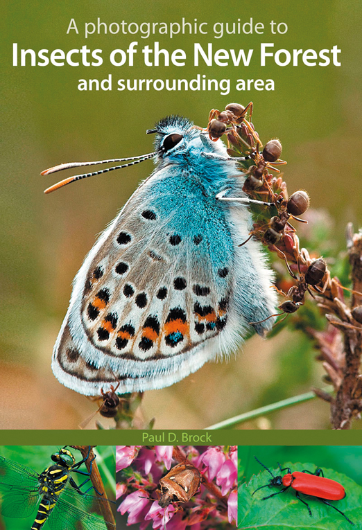 A Photographic Guide to Insects of the New Forest