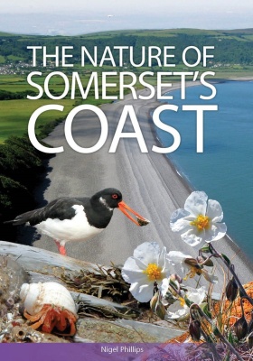 The Nature of Somerset's Coast