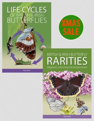Butterflies Bundle - Life Cycles and Rarities