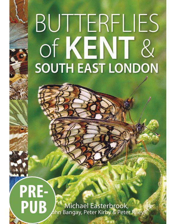 Butterflies of Kent and South East London
